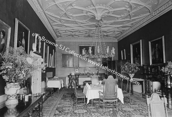 BIRR CASTLE  DRAWING ROOM CEILING